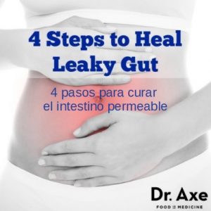 Como curar el intestino permeable