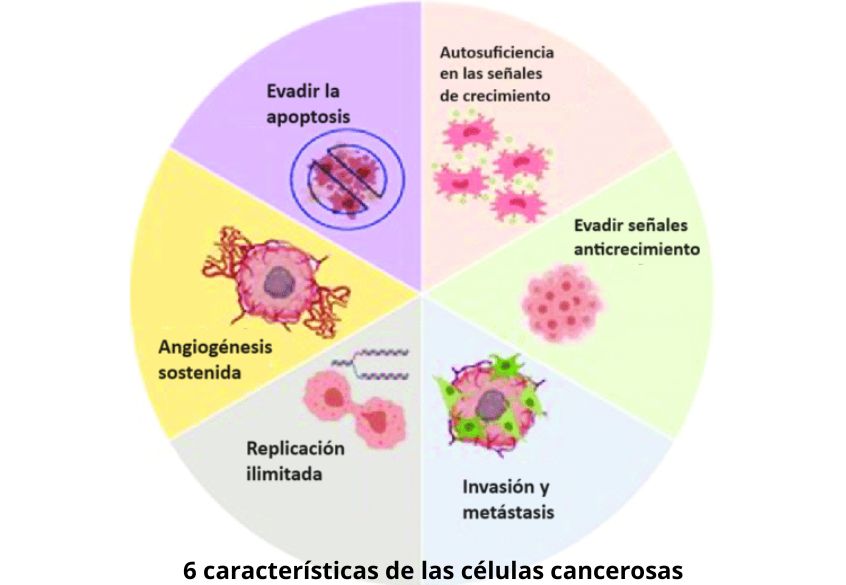 características de las células cancerosas